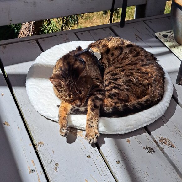 Closet Closing Announcement - Picture 9 of 13